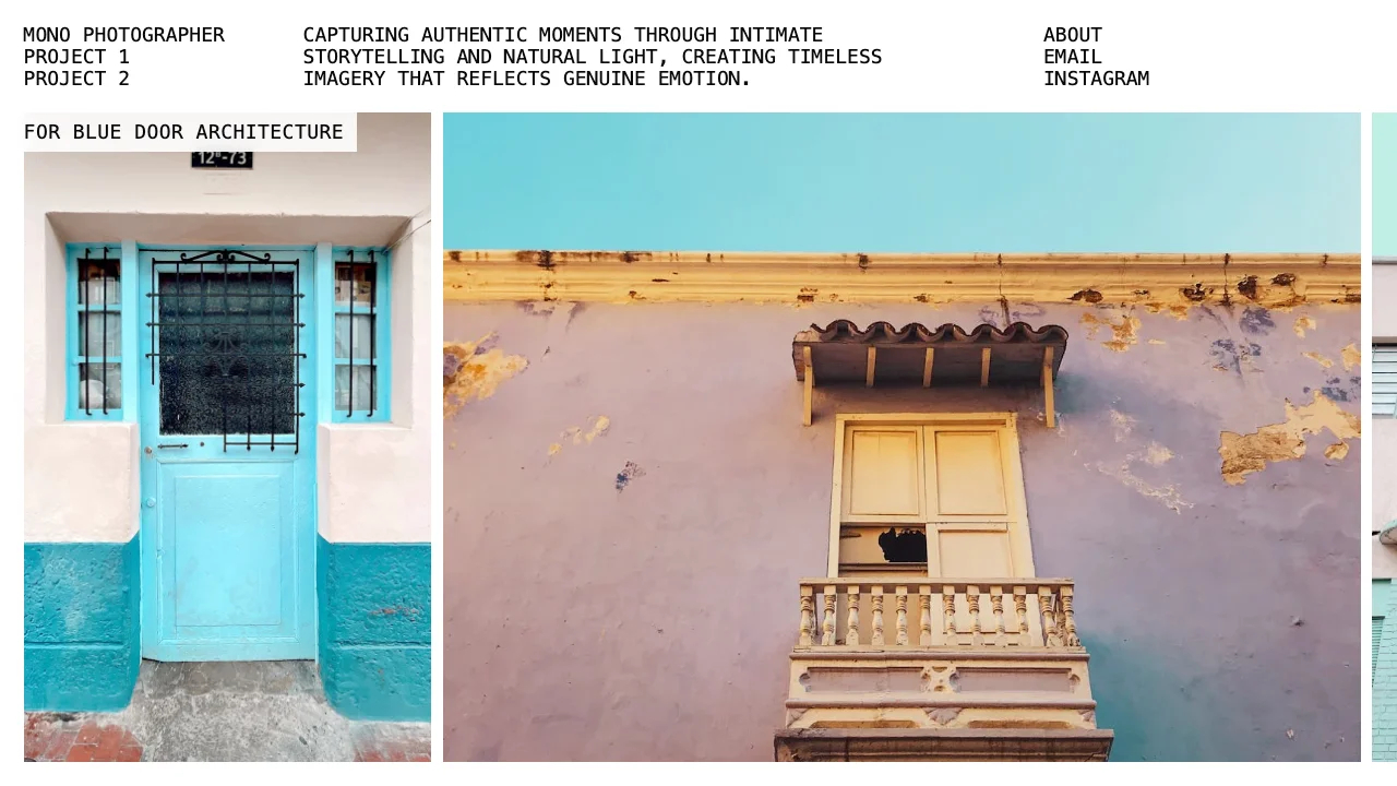 Loading preview of Mono Photographer